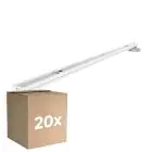 Opakowanie 20x Noxion Belka Click V2 LED T8 | Nadaje Się Do 2x 120cm Rura LED