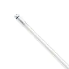 Philips Master Rura LED T8 (EM/Mains) High Output T8 7.6W 1150lm - 840 Zimna Biel | 60cm - Zamienne 18W